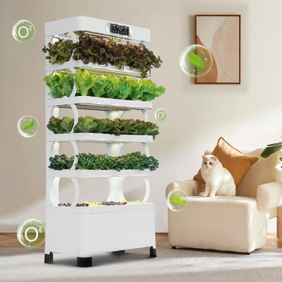 Sistema idroponico Veggiefloe per le scuole: apprendimento pratico e alimentazione sana per i bambini