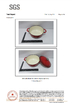 Porcellana HENAN RUAN XIN TRADING Co., Ltd Certificazioni